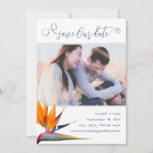 Paradiesvogel Rette unsere Ankündigung (Vorderseite)