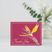 Paradiesvogel Rosa Hintergrund Danke Postkarte (Stehend Vorderseite)