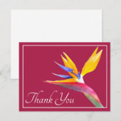 Paradiesvogel Rosa Hintergrund Danke Postkarte (Vorne/Hinten)