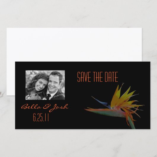 Paradiesvogel Save the Date Fotokarte (Vorne/Hinten)