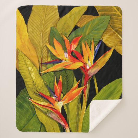 Paradiesvogel Sherpadecke (Vorderseite)