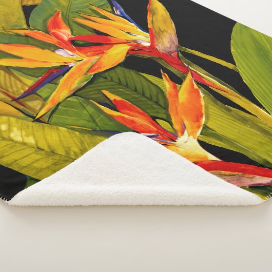 Paradiesvogel Sherpadecke (3/4)