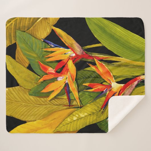 Paradiesvogel Sherpadecke (Vorderseite (Horizontal))