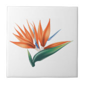 Paradiesvogel, strelitzia exotische Blume Fliese (Vorderseite)