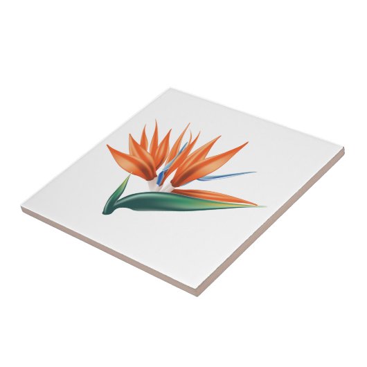 Paradiesvogel, strelitzia exotische Blume Fliese (Seite)