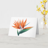 Paradiesvogel, strelitzia exotische Blume Karte (Gelbe Blume)