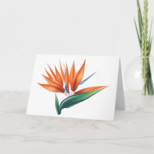 Paradiesvogel, strelitzia exotische Blume Karte