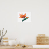Paradiesvogel, strelitzia exotische Blume Poster (Küche)