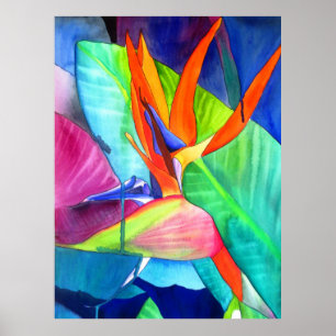 Paradiesvogel Strelitzia-Wasserfarbe-Blumenkunst Poster