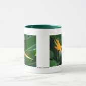 Paradiesvogel Tasse (Zentrum)