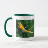 Paradiesvogel Tasse (Links)