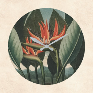 Paradiesvogel Vintage Temple of Flora Botanical Große Wanduhr
