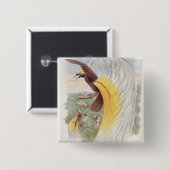 Paradiesvogel, 'von den Vögeln von New Guinea Button (Vorne & Hinten)