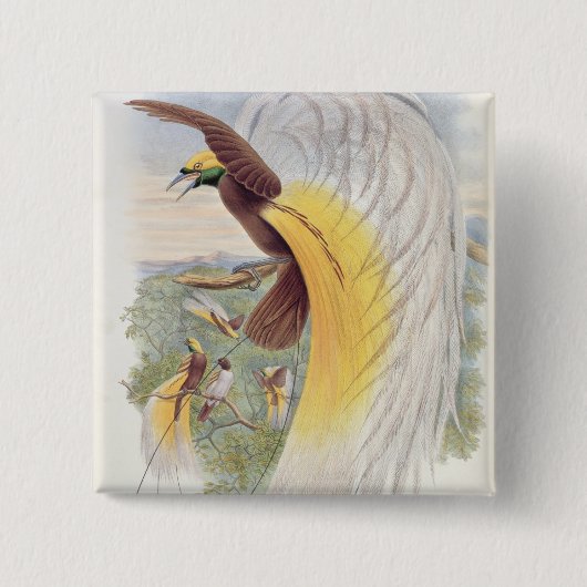 Paradiesvogel, 'von den Vögeln von New Guinea Button (Vorderseite)