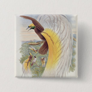Paradiesvogel, 'von den Vögeln von New Guinea Button