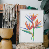 Paradiesvogel Zeichnend Poster