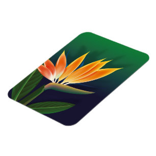 Paradiesvogelblume Magnet