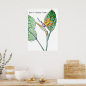 Paradiesvogelblume Poster (Küche)