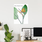 Paradiesvogelblume Poster (Heimbüro)