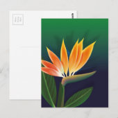 Paradiesvogelblume Postkarte (Vorne/Hinten)