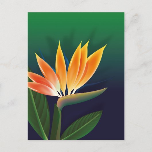 Paradiesvogelblume Postkarte (Vorderseite)