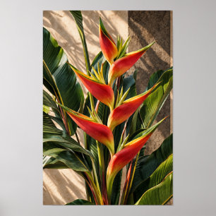 Paradiesvogelblumen in goldenem Licht Wandkunst Poster