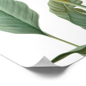 Paradiesvogeldarstellung (Blume) Poster (Ecke)