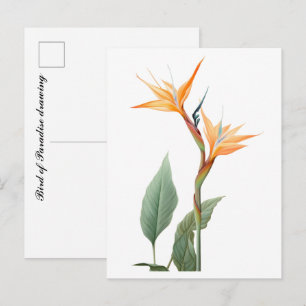 Paradiesvogeldarstellung (Blume) Postkarte