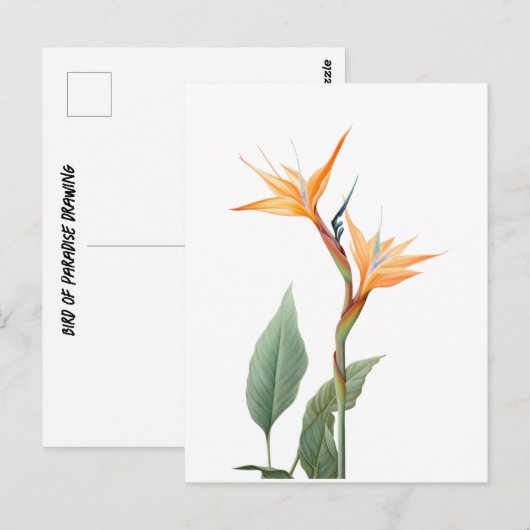 Paradiesvogeldrawing (Blume) Postkarte (Vorne/Hinten)