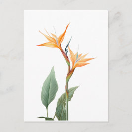 Paradiesvogeldrawing (Blume) Postkarte