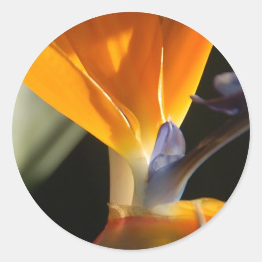 Paradise-Aufkleber Runder Aufkleber (Vorderseite)