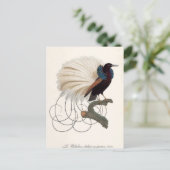 Paradise Bird Postcard Postkarte (Stehend Vorderseite)
