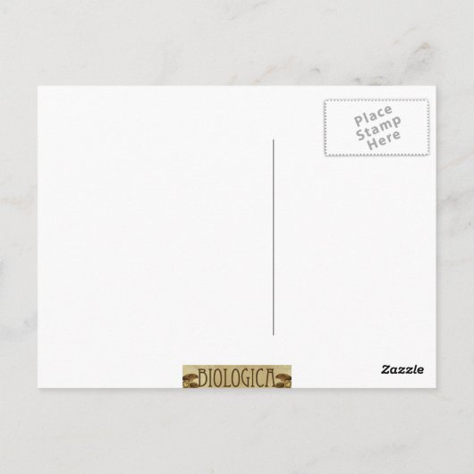 Paradise Bird Postcard Postkarte (Rückseite)