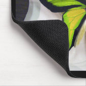 Paradise birdwing , Ornithoptera paradisea Mousepad (Ecke)