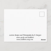 PARADISE BLUME POSTCARD POSTKARTE (Rückseite)