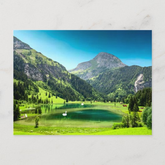 Paradise Cove Postkarte (Vorderseite)