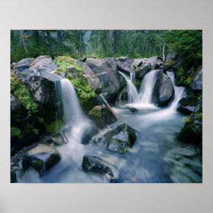 Paradise Creek fließt an den Hängen des Mount Poster