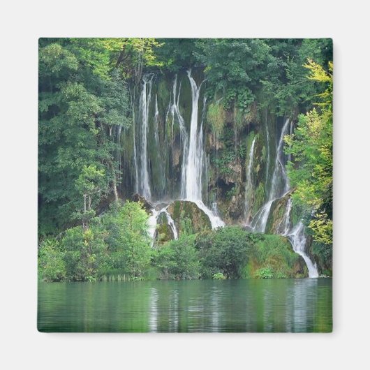 Paradise Falls Magnet (Vorne)