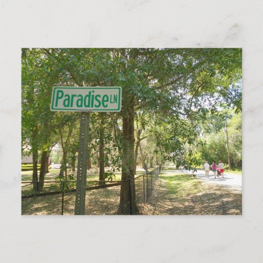 Paradise Lane Florida Postkarte (Vorderseite)