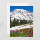Paradise Mt. Rainer Postkarte (Vorne/Hinten)