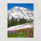 Paradise Mt. Rainer Postkarte (Vorderseite)
