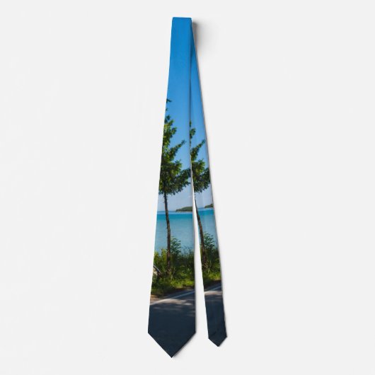 Paradise Neck Tie Krawatte (Vorderseite)