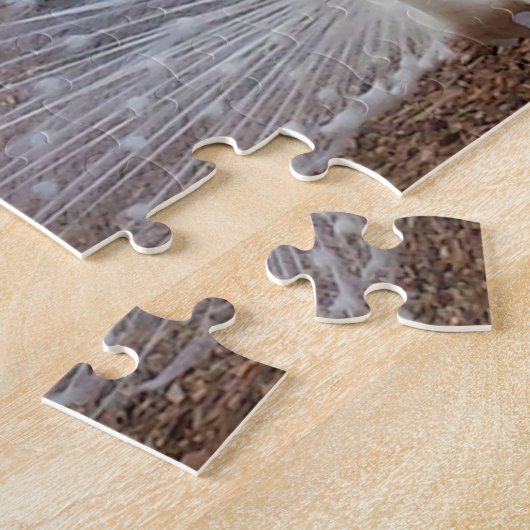 Paradise Peacock Puzzle (Seite)