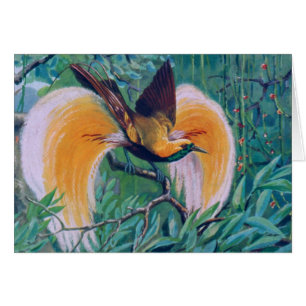 Paradise-Vogelkarte