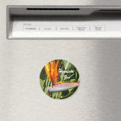 Paradisevogel, Zoo von Honolulu Magnet (In Situ (Geschirrspüler))