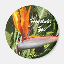 Paradisevogel, Zoo von Honolulu Magnet