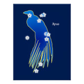 Paradisier (Sternbild) Poster (Vorderseite)