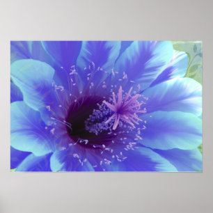 Paradisum tropische Blume Hibiskus Drucknatur Poster