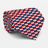Paraguay Flag Hearts Tie Krawatte (Gerollt)