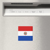 Paraguay Flag Magnet (In Situ (Geschirrspüler))